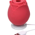 XR Brands Bloomgasm | The Rose Lover's Gift Box - Red