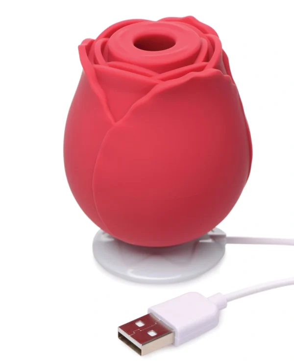 XR Brands Bloomgasm | The Rose Lover's Gift Box - Red