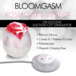 XR Brands Bloomgasm | The Rose Lover's Gift Box - Swirl