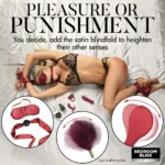 Bedroom Bliss Lover's Bondage, Massage, & Vibrator Set - Pleasure or Punishment