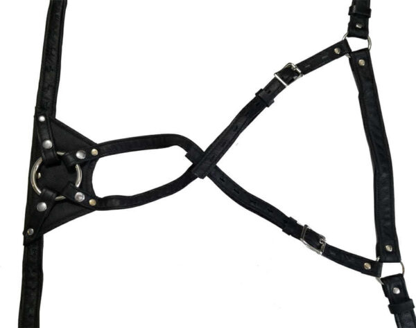 Locked In Lust Crotch Rocket Strap-On Harness