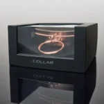 Coquette Rose Gold Bondage Collar