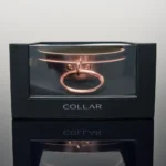 Coquette Rose Gold Bondage Collar