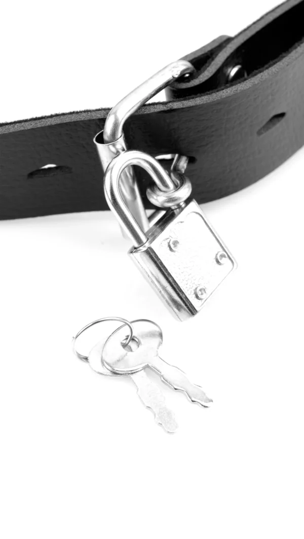 Fetish Fantasy Deluxe Ball Gag with Dildo - Black