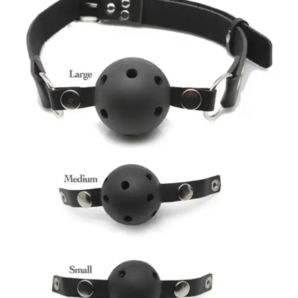 Fetish Fantasy Series Ball Gag Training System - Black