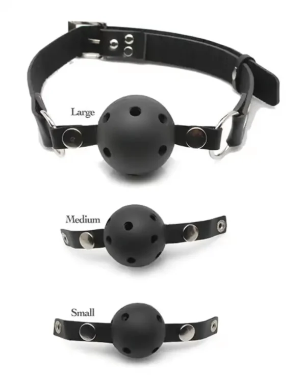 Fetish Fantasy Series Ball Gag Training System - Black