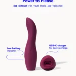 Dame Dip Basic Vibrator - Internal & External Beginner Vibe - Plum